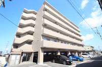 岡山県岡山市南区大福(マンション)の賃貸物件の外観