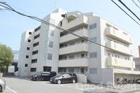 徳島県徳島市住吉4(マンション)の賃貸物件の外観