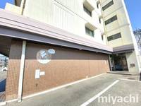 徳島県徳島市中洲町3(マンション)の賃貸物件の外観