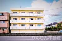 第1井村ハイツの外観