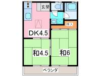 新富ハイツの間取り