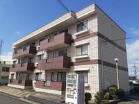 大阪府泉北郡忠岡町高月南1(マンション)の賃貸物件の外観