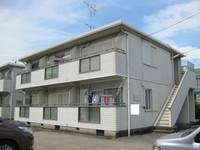 クレマチスの外観