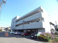 岐阜県岐阜市今嶺3(マンション)の賃貸物件の外観