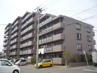 ロイヤルパレス長町南IIIの外観