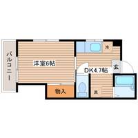 メゾン陽光の間取り