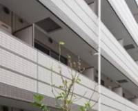 東京都江東区東雲2(マンション)の賃貸物件の外観