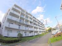 アルビス寺本12号棟の外観