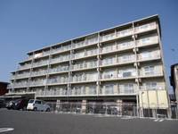 滋賀県彦根市戸賀町(マンション)の賃貸物件の外観