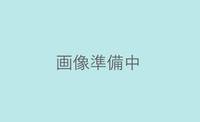 北海道千歳市栄町1(マンション)の賃貸物件の外観
