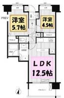 埼玉県さいたま市浦和区常盤1(マンション)の賃貸物件の間取り