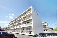 徳島県徳島市上助任町天神(アパート)の賃貸物件の外観