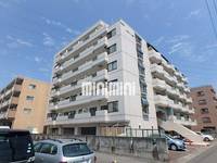 プラトー星の外観