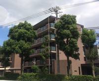 サンピエス江古田の外観