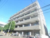 宮城県仙台市宮城野区新田2(マンション)の賃貸物件の外観