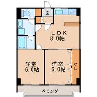 ガーデンコート新栄の間取り