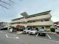 グリーンコーポ清水の外観