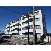 栃木県宇都宮市竹林町(マンション)の賃貸物件の外観
