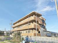 徳島県小松島市横須町(マンション)の賃貸物件の外観