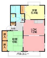 ドミール城山IIIの間取り