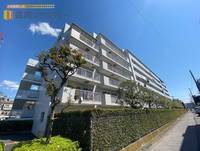 千葉県市川市日之出(マンション)の賃貸物件の外観