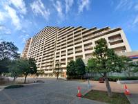 神奈川県川崎市高津区久地3(マンション)の賃貸物件の外観