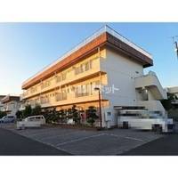 栃木県宇都宮市竹林町(マンション)の賃貸物件の外観