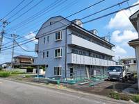 ベアベリーの外観