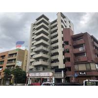 クレア大橋の外観