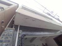 広島県広島市中区大手町5(マンション)の賃貸物件の外観