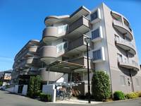 埼玉県さいたま市南区文蔵3(マンション)の賃貸物件の外観