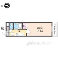 パルスコート新大宮の間取り