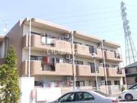 栃木県宇都宮市鶴田1(マンション)の賃貸物件の外観