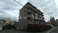 千葉県柏市明原1(マンション)の賃貸物件の外観