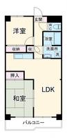 ドミール市ヶ尾の間取り