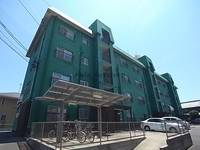 岐阜県岐阜市須賀3(マンション)の賃貸物件の外観