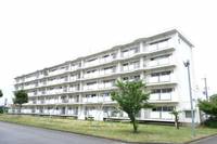 滋賀県長浜市小堀町(マンション)の賃貸物件の外観
