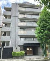 神奈川県平塚市八重咲町(マンション)の賃貸物件の外観