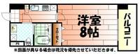 ハイコート浅野の間取り