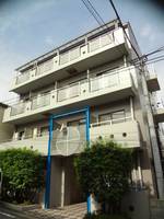 ほうれんそうの外観