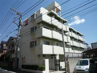 東京都葛飾区柴又1(マンション)の賃貸物件の外観