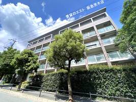 シプレス303の外観