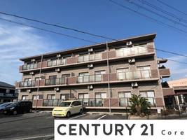 RIVER ANNE RENA(野洲市市三宅)の外観
