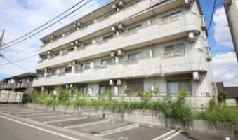 youngleavesの外観