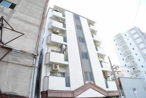 メゾンドゥレイナIIIの外観