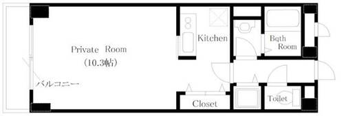 メゾンビトロ2の間取り