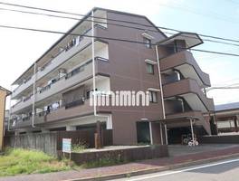 セレーナ香の外観