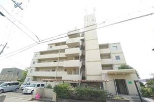 VIVACE HATA401の外観