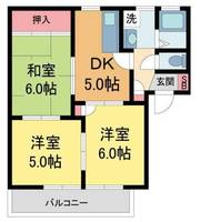 榎木ハイツB棟の間取り