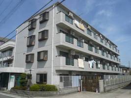 兵庫県宝塚市山本南1丁目(マンション)の賃貸物件の外観